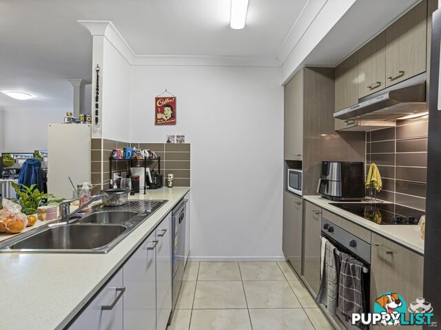 ID:21153144 325 Stanley Street Brendale QLD 4500
