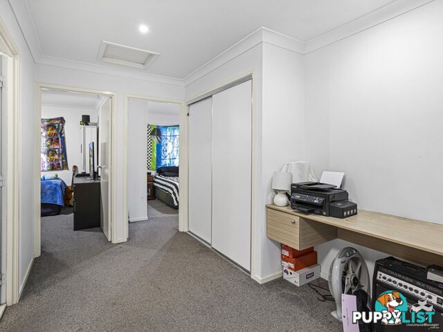 ID:21153144 325 Stanley Street Brendale QLD 4500