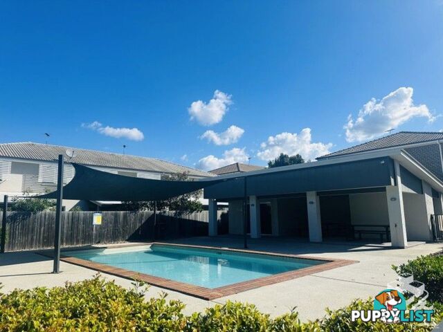 ID:21153144 325 Stanley Street Brendale QLD 4500