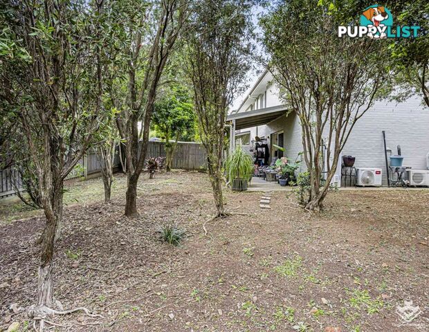 ID:21153144 325 Stanley Street Brendale QLD 4500