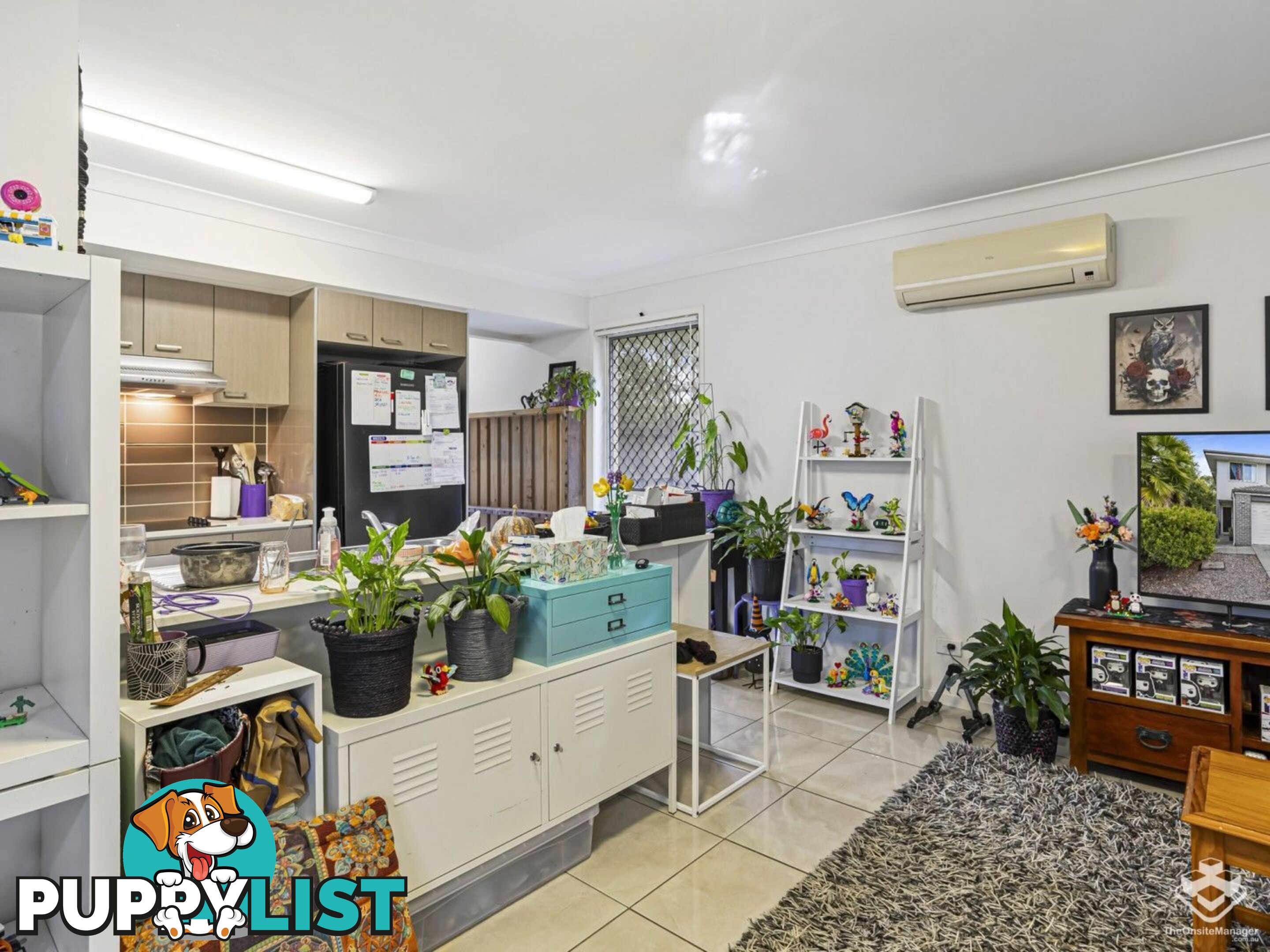 ID:21153144 325 Stanley Street Brendale QLD 4500