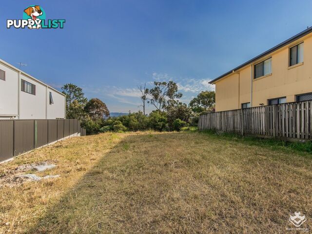 52A Midway Terrace Pacific Pines QLD 4211