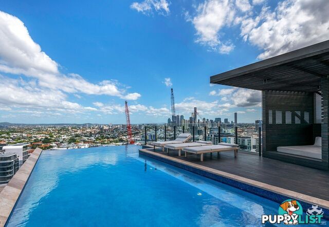 ID:21154248 12 Cunningham Street Newstead QLD 4006