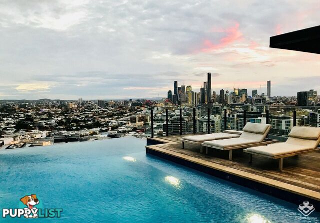 ID:21154248 12 Cunningham Street Newstead QLD 4006