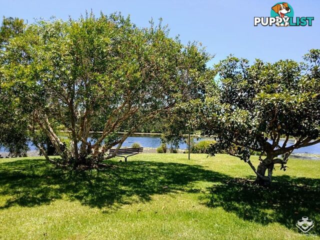 27 / 2 Inland Drive Tugun QLD 4224