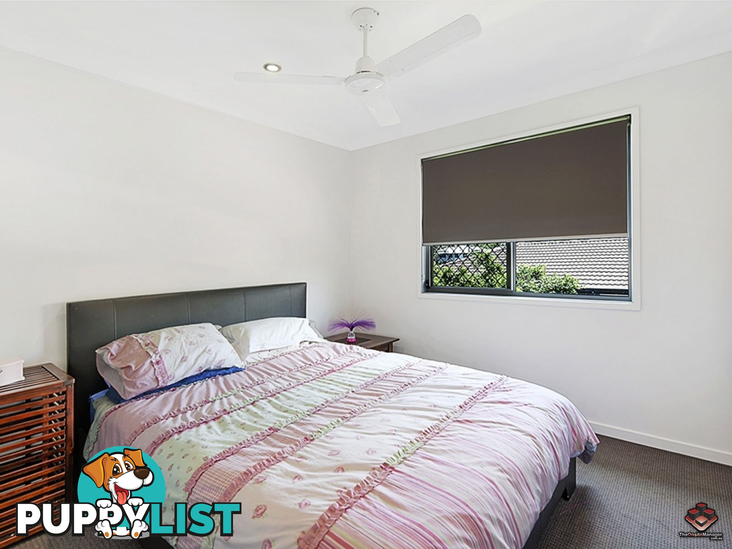 177 Central Street Labrador QLD 4215