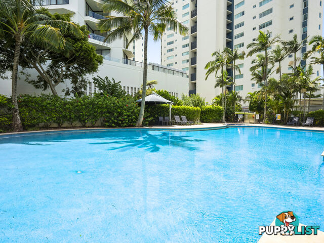 ID:21155923 326 Marine Parade Labrador QLD 4215