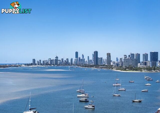 ID:21155923 326 Marine Parade Labrador QLD 4215