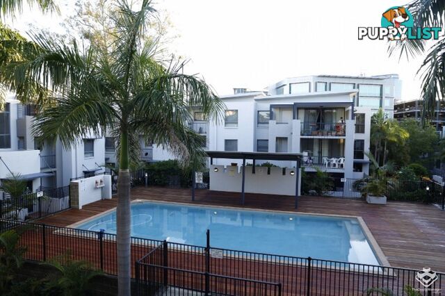 ID:21144014 7 Landsborough Terrace Toowong QLD 4066