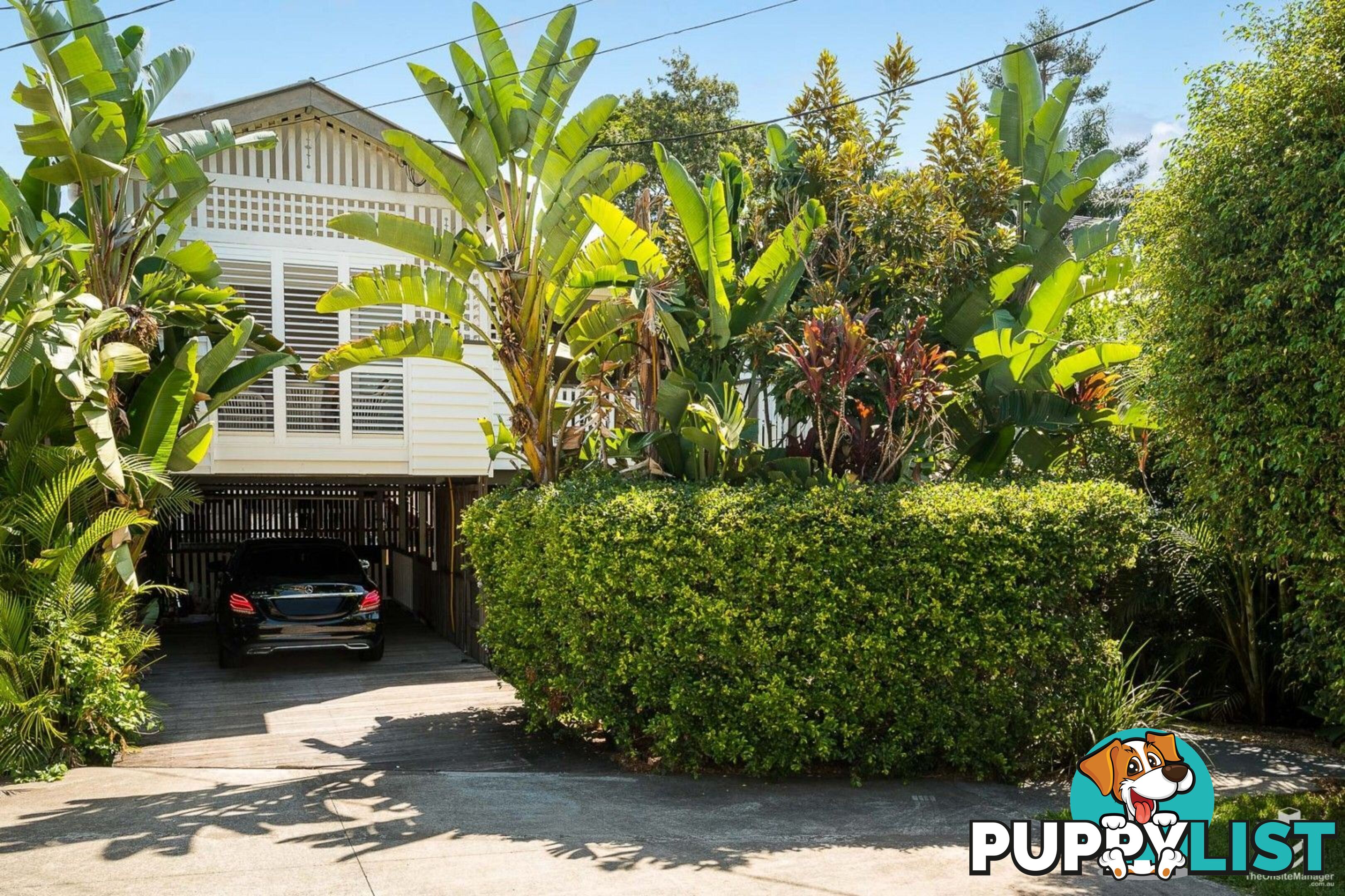 20 Young Street Milton QLD 4064