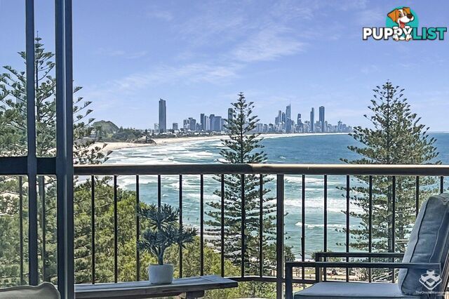 ID:21143813/45 Hayle Street Burleigh Heads QLD 4220