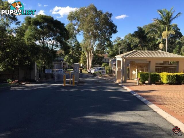 ID:3897201/115 Gumtree Street Runcorn QLD 4113