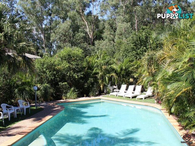 ID:3897201/115 Gumtree Street Runcorn QLD 4113