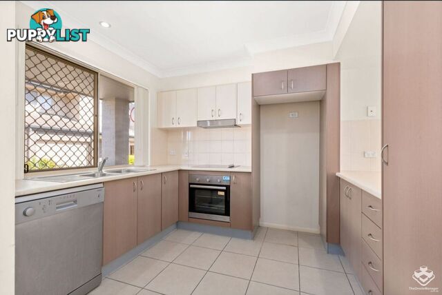 ID:21153351 439 Elizabeth Avenue Kippa-Ring QLD 4021