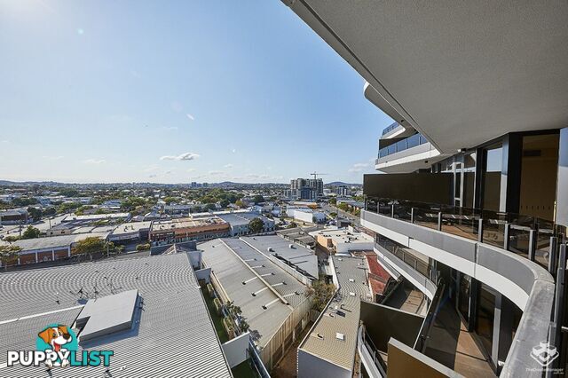 1006/62 Logan Road Woolloongabba QLD 4102