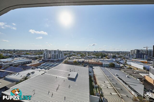 1006/62 Logan Road Woolloongabba QLD 4102