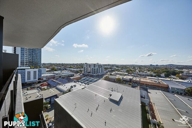 1006/62 Logan Road Woolloongabba QLD 4102