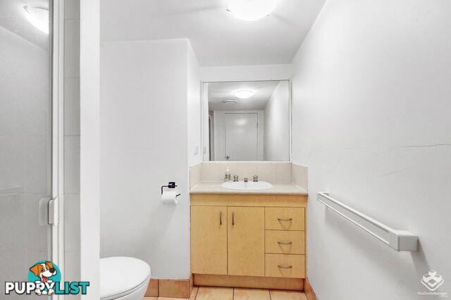 Unit 2/13-15 Illawong Street Chevron Island QLD 4217