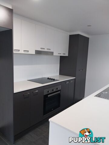 ID:21155088 32 Joyce Street Burpengary QLD 4505