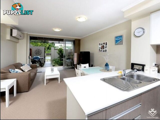 U13/123 Barrack Road Cannon Hill QLD 4170