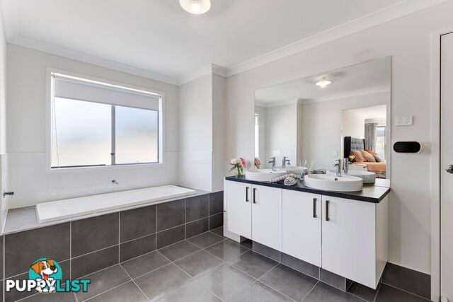 33 Honeyeater Street Bahrs Scrub QLD 4207