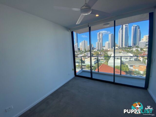 ID:21140329/266 Stanhill Drive Surfers Paradise QLD 4217