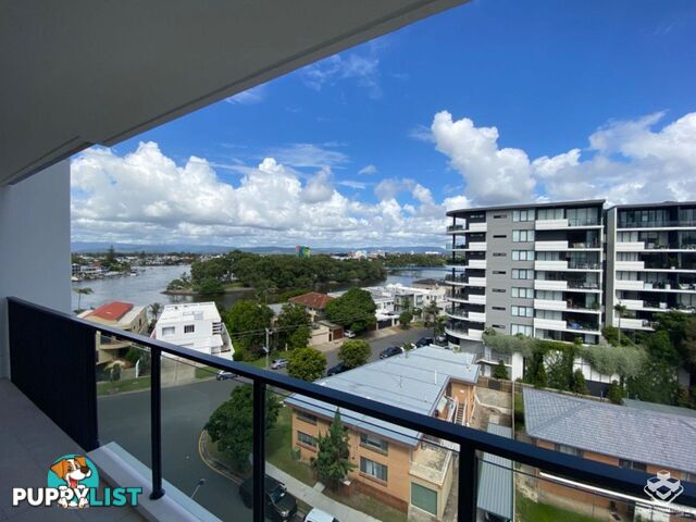 ID:21140329 266 Stanhill Drive Surfers Paradise QLD 4217