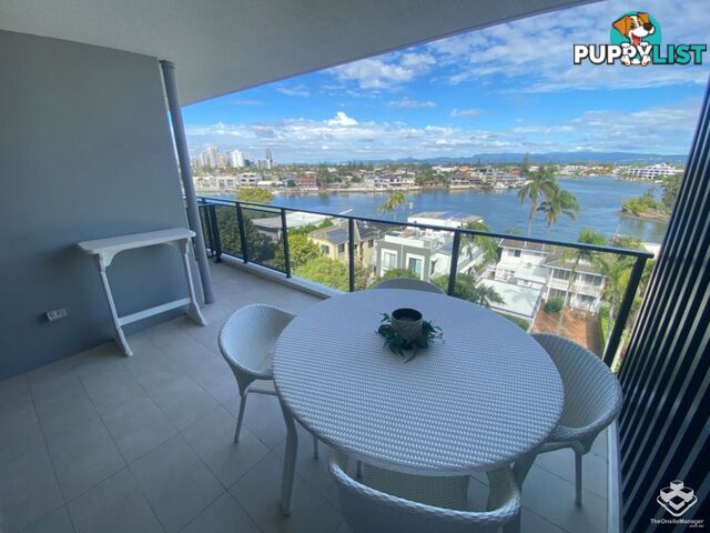 ID:21140329/266 Stanhill Drive Surfers Paradise QLD 4217