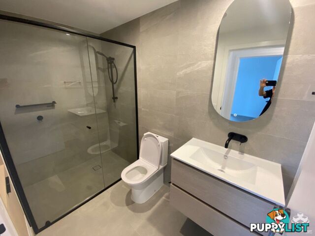 ID:21140329 266 Stanhill Drive Surfers Paradise QLD 4217