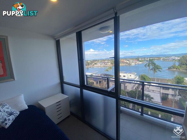 ID:21140329/266 Stanhill Drive Surfers Paradise QLD 4217