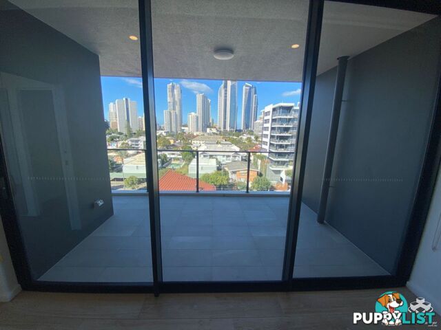 ID:21140329/266 Stanhill Drive Surfers Paradise QLD 4217