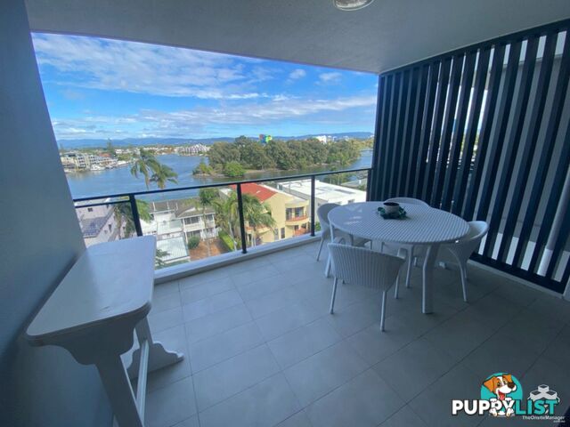 ID:21140329 266 Stanhill Drive Surfers Paradise QLD 4217