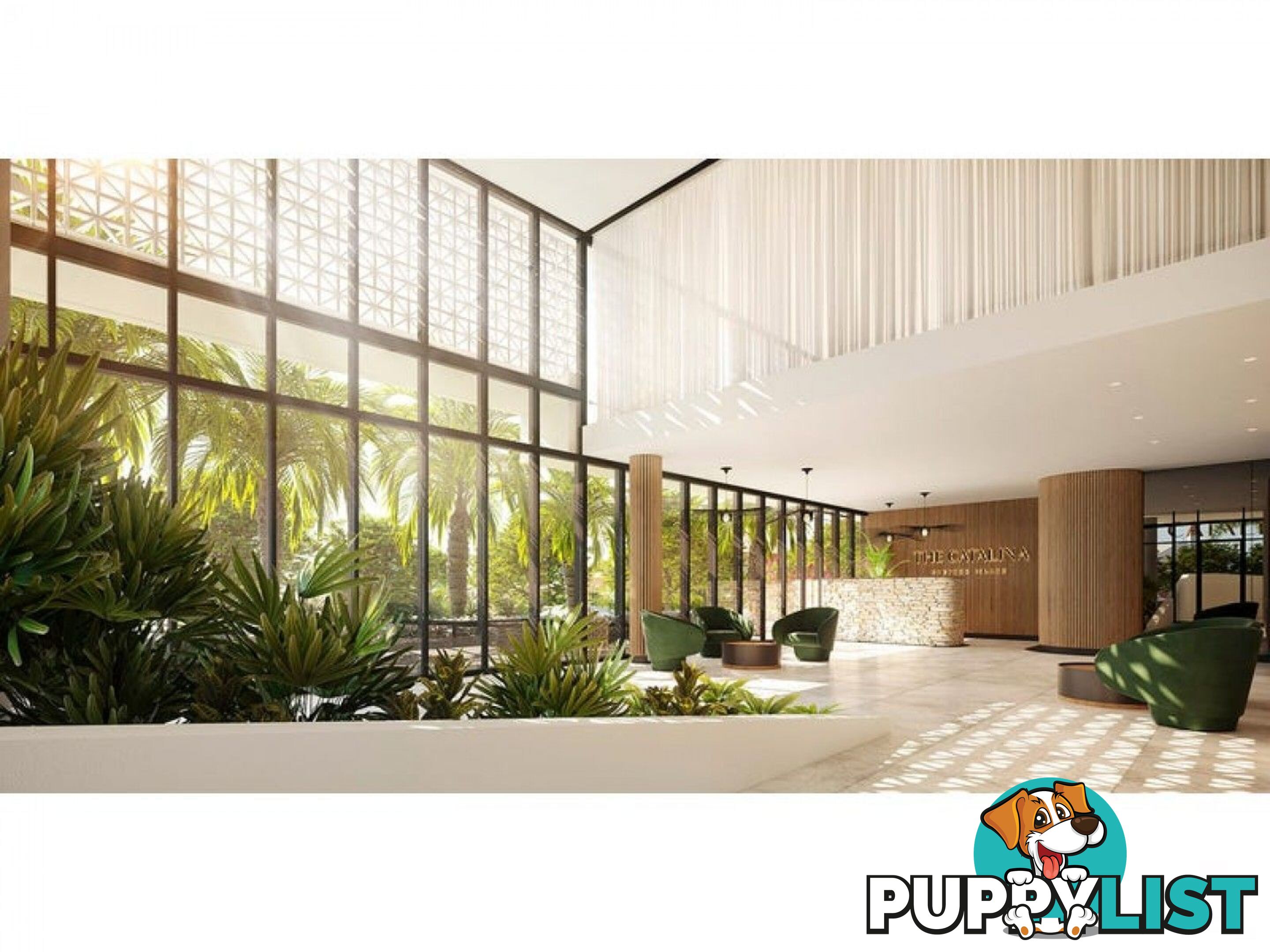 ID:21140329 266 Stanhill Drive Surfers Paradise QLD 4217