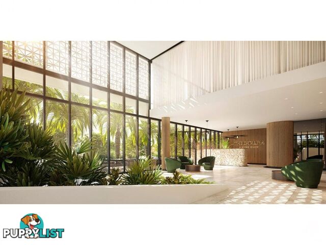 ID:21140329 266 Stanhill Drive Surfers Paradise QLD 4217