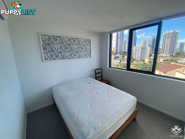 ID:21140329/266 Stanhill Drive Surfers Paradise QLD 4217