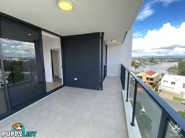 ID:21140329 266 Stanhill Drive Surfers Paradise QLD 4217