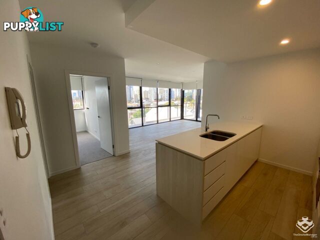 ID:21140329 266 Stanhill Drive Surfers Paradise QLD 4217