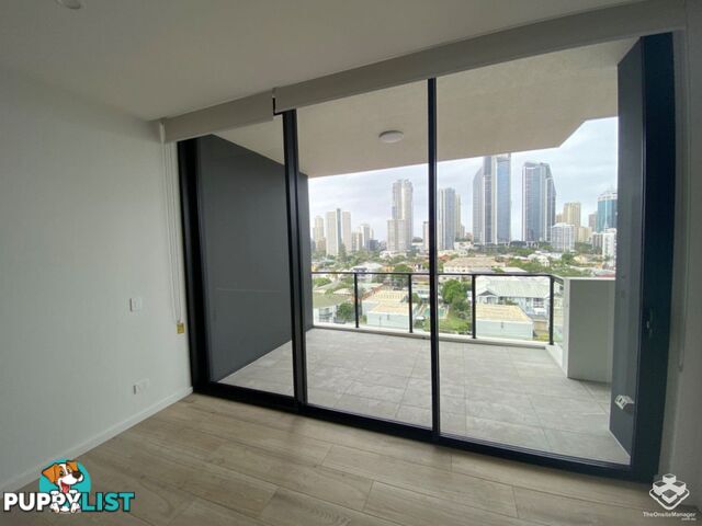 ID:21140329 266 Stanhill Drive Surfers Paradise QLD 4217