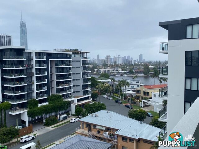 ID:21140329 266 Stanhill Drive Surfers Paradise QLD 4217