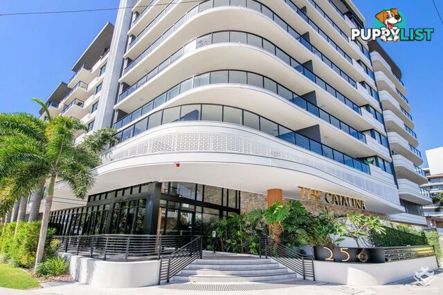 ID:21140329/266 Stanhill Drive Surfers Paradise QLD 4217