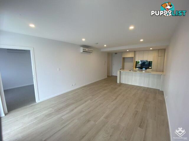 ID:21140329 266 Stanhill Drive Surfers Paradise QLD 4217