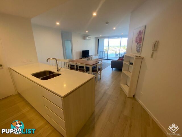 ID:21140329/266 Stanhill Drive Surfers Paradise QLD 4217