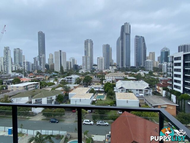ID:21140329 266 Stanhill Drive Surfers Paradise QLD 4217