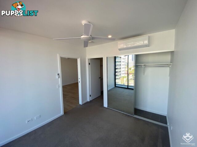 ID:21140329/266 Stanhill Drive Surfers Paradise QLD 4217