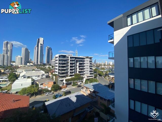 ID:21140329/266 Stanhill Drive Surfers Paradise QLD 4217