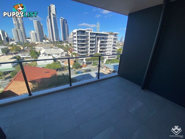 ID:21140329/266 Stanhill Drive Surfers Paradise QLD 4217