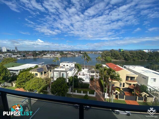 ID:21140329/266 Stanhill Drive Surfers Paradise QLD 4217