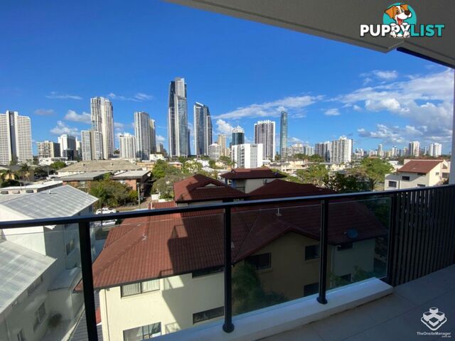 ID:21140329 266 Stanhill Drive Surfers Paradise QLD 4217
