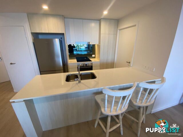 ID:21140329 266 Stanhill Drive Surfers Paradise QLD 4217