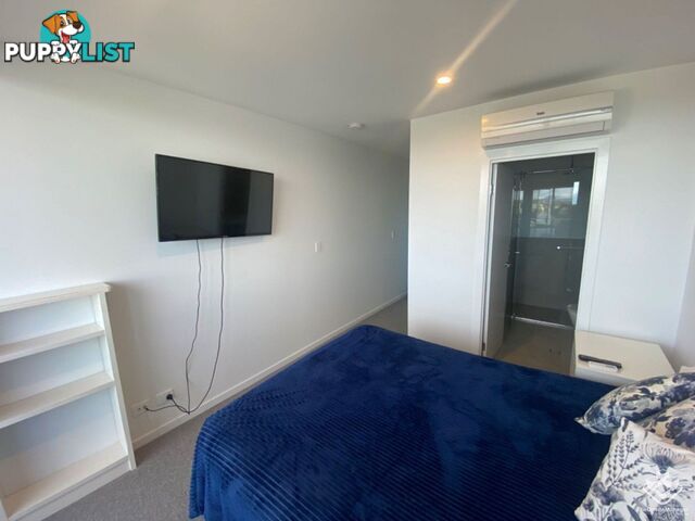 ID:21140329/266 Stanhill Drive Surfers Paradise QLD 4217